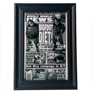 Vintage Bigfoot 90s Weekly World Paranormal Oddity Frame Photo Print Unusual